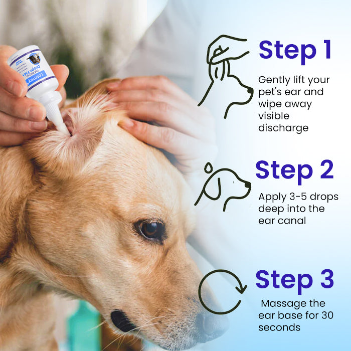 🩺 Vet-Grade Treatment for Mites, Yeast & Bacteria | Stops Itching in 3 Days  | Lotmay® Pet EarPro Drops FM+