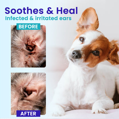 🌟 Official Store | RZXEA™ Pet EarPro Drops FM+