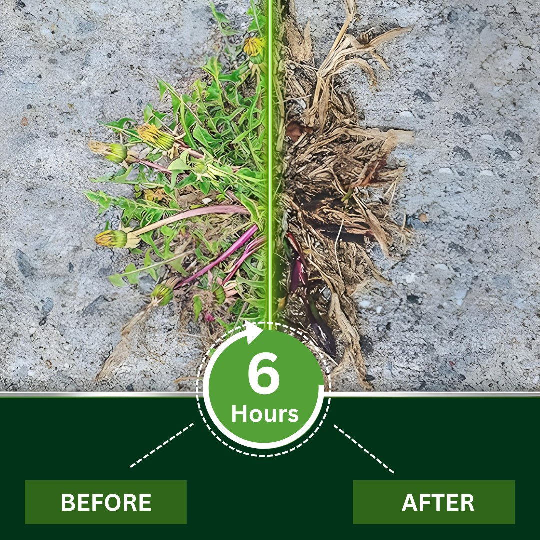 AEXZR® 2 in 1 Max Power Herbicide