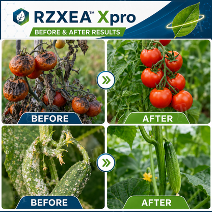 🏆 New Upgrade | RZXEA™  Xpro Prothioconazole Systemic Fungicide