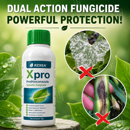 🏆 New Upgrade | RZXEA™  Xpro Prothioconazole Systemic Fungicide