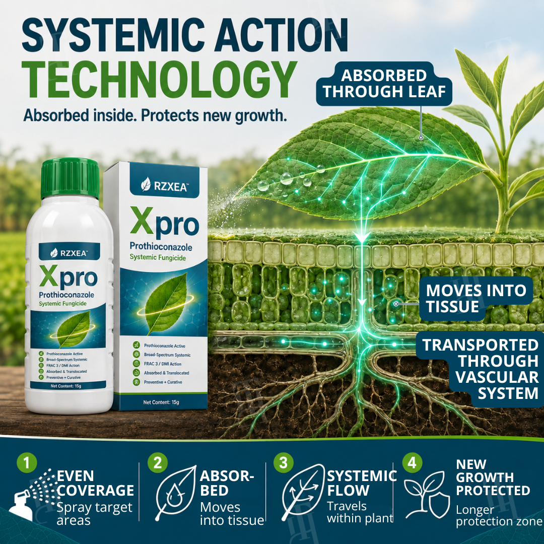 🏆 New Upgrade | RZXEA™  Xpro Prothioconazole Systemic Fungicide