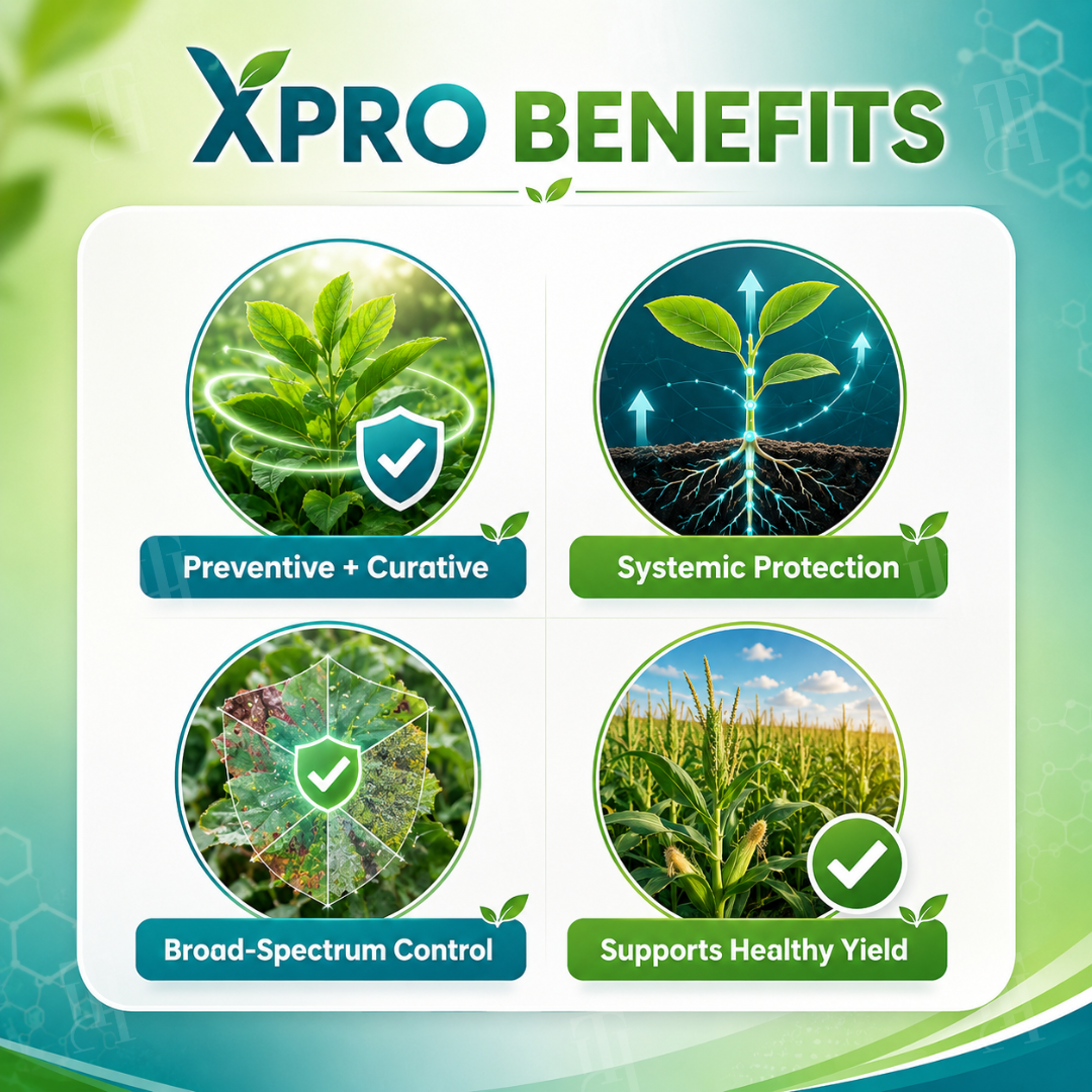 🏆 New Upgrade | RZXEA™  Xpro Prothioconazole Systemic Fungicide