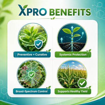 🏆 New Upgrade | RZXEA™  Xpro Prothioconazole Systemic Fungicide
