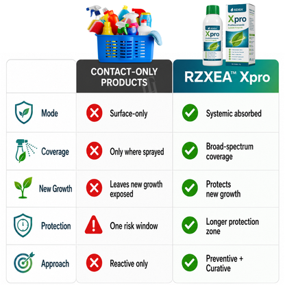 🏆 New Upgrade | RZXEA™  Xpro Prothioconazole Systemic Fungicide