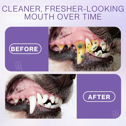🏆 Official Store | RZXEA™ Pet Zinc-Gluconate Oral Spray