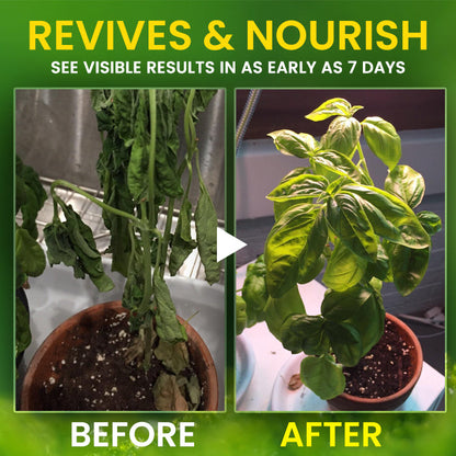 AEXZR® 2 in 1 Vita-Enzyme Solution