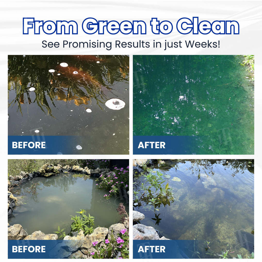 AEXZR® Aqua-Guardian Pro 🧬 Clears Green Water in 24h | 100% Fish Safe (Bio-Formula)