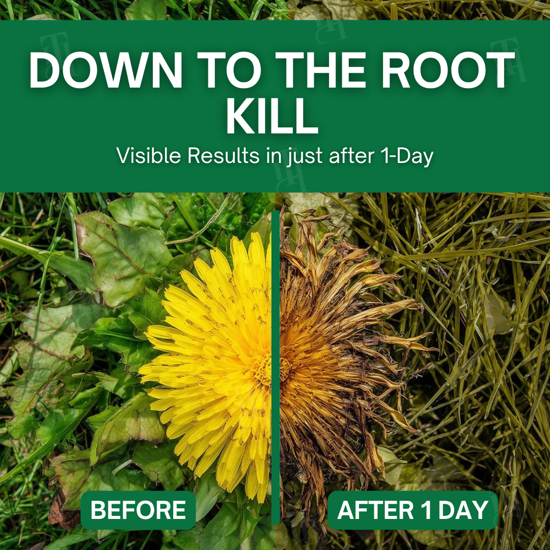 🌱 Safe for Pets, Tough on Weeds | AEXZR® 3-in-1 Garden Defense