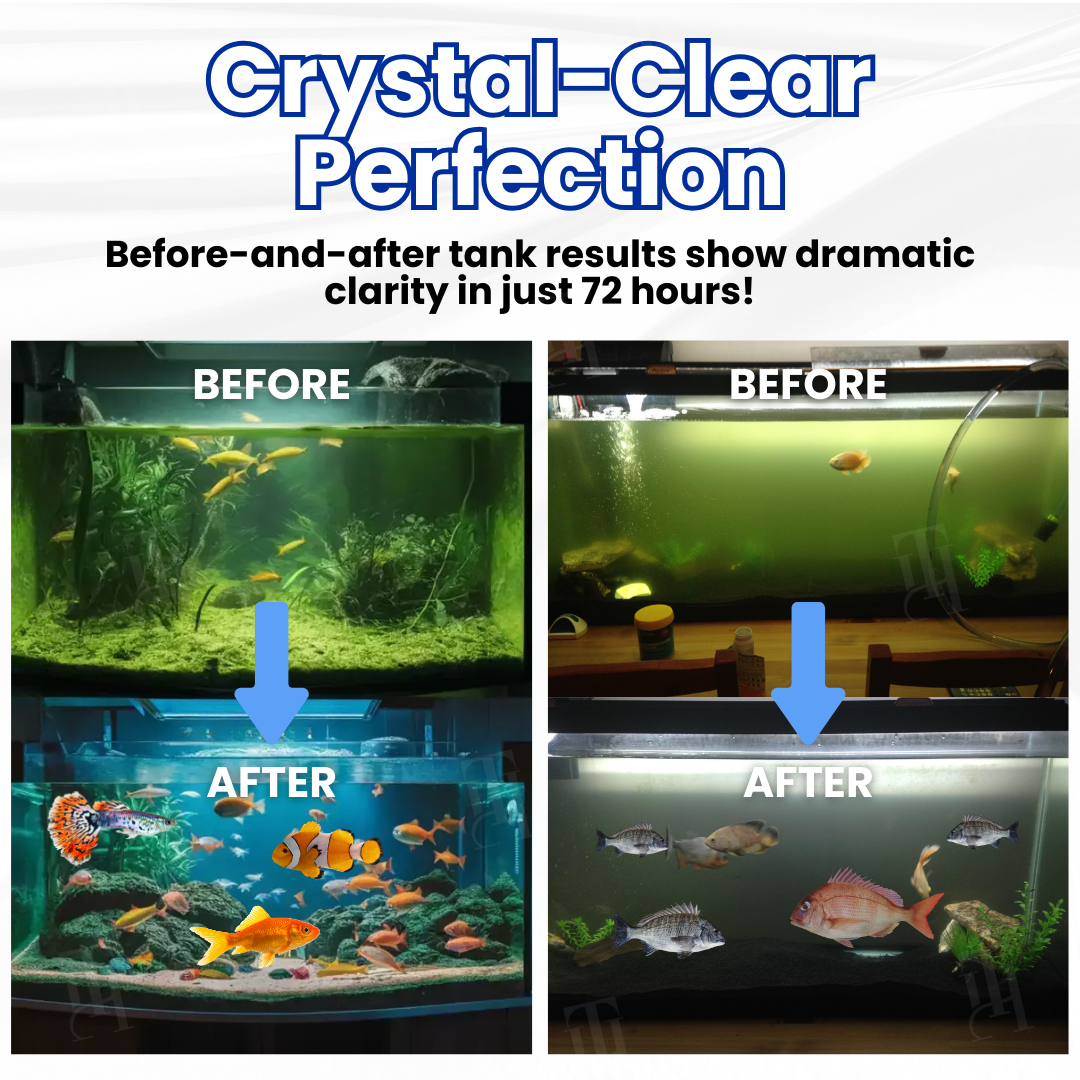 💊 Instantly Clears Water & Removes Ammonia | Reduces Water Changes AEXZR® Max-Power Aquarium Purification Tablet