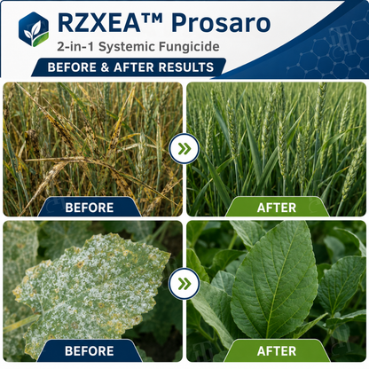 🏆 New Upgrade | RZXEA™ Prosaro 2-in-1 Systemic Fungicide