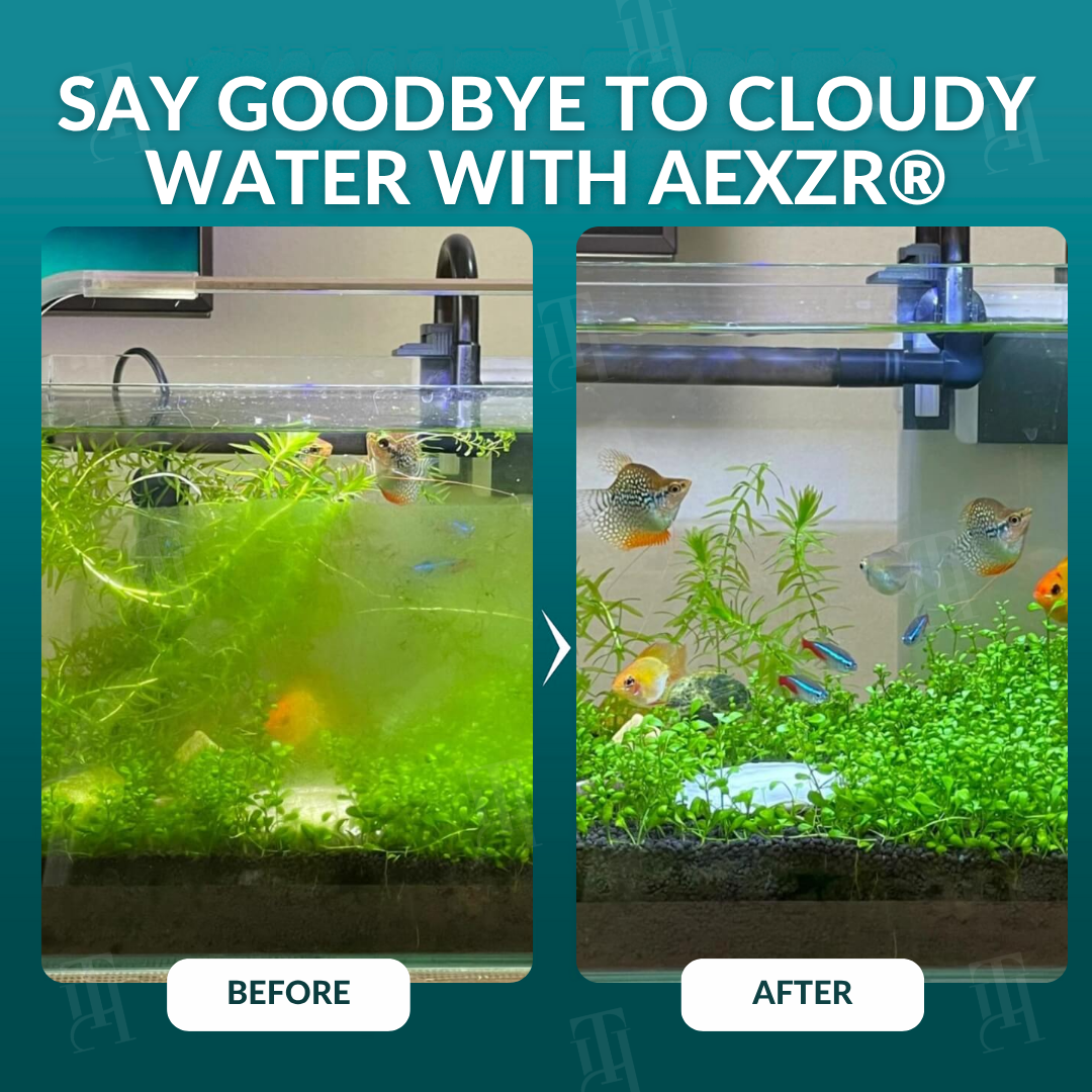 🏆 Official Store | 🌊 Achieve Crystal Clear Water & Thriving Fish 🌿AEXZR® Aquariums Aqua-Guardian Blend
