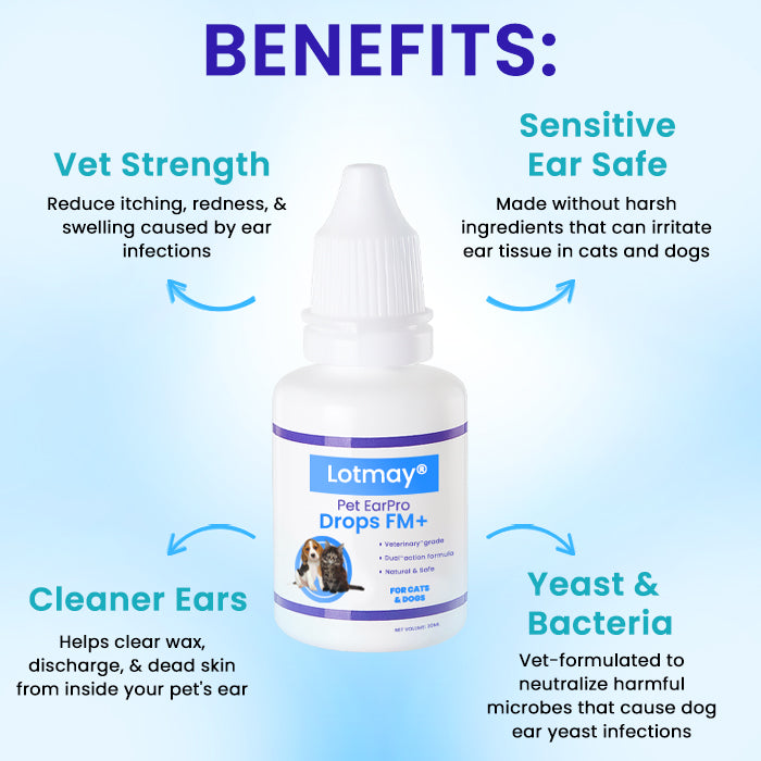 🩺 Vet-Grade Treatment for Mites, Yeast & Bacteria | Stops Itching in 3 Days  | Lotmay® Pet EarPro Drops FM+