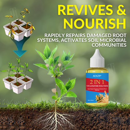 🏆 Official Store | AEXZR® 2 in 1 Vita-Enzyme Solution