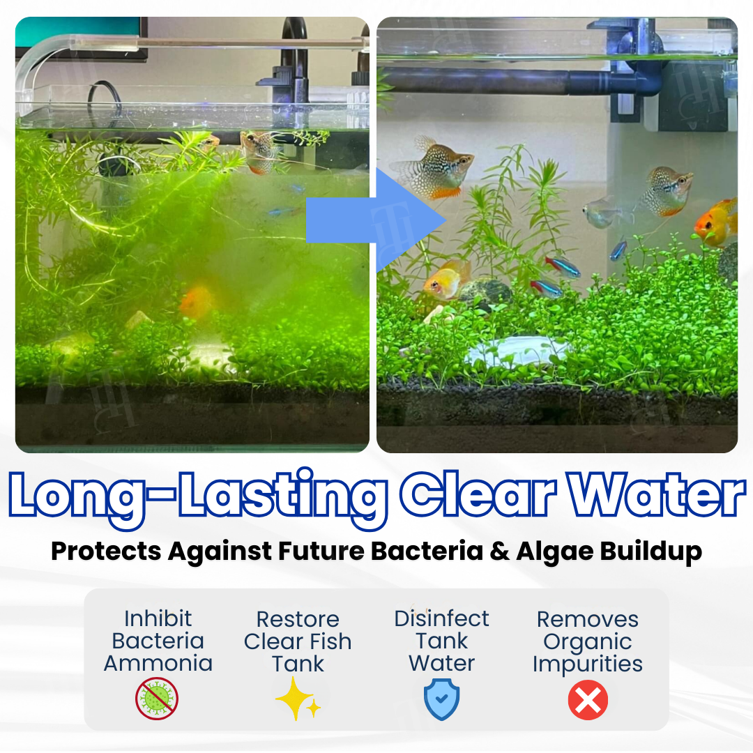 💊 Instantly Clears Water & Removes Ammonia | Reduces Water Changes AEXZR® Max-Power Aquarium Purification Tablet