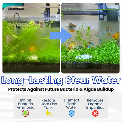 💊 Instantly Clears Water & Removes Ammonia | Reduces Water Changes AEXZR® Max-Power Aquarium Purification Tablet