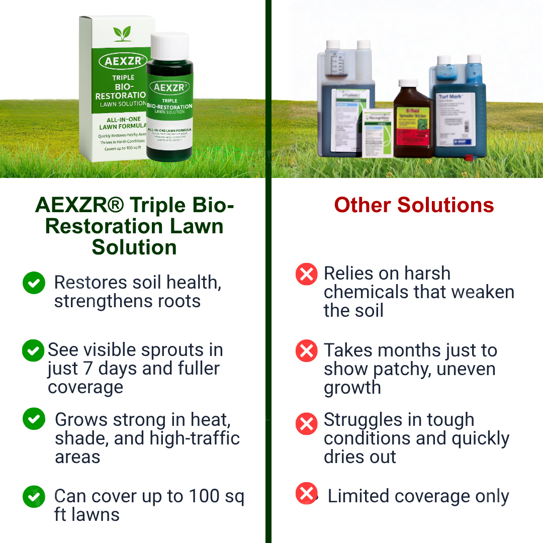 AEXZR® Liquid Lawn Tonic 🌿 Seaweed & Amino Acid Feed | Revives Patchy Gardens Fast