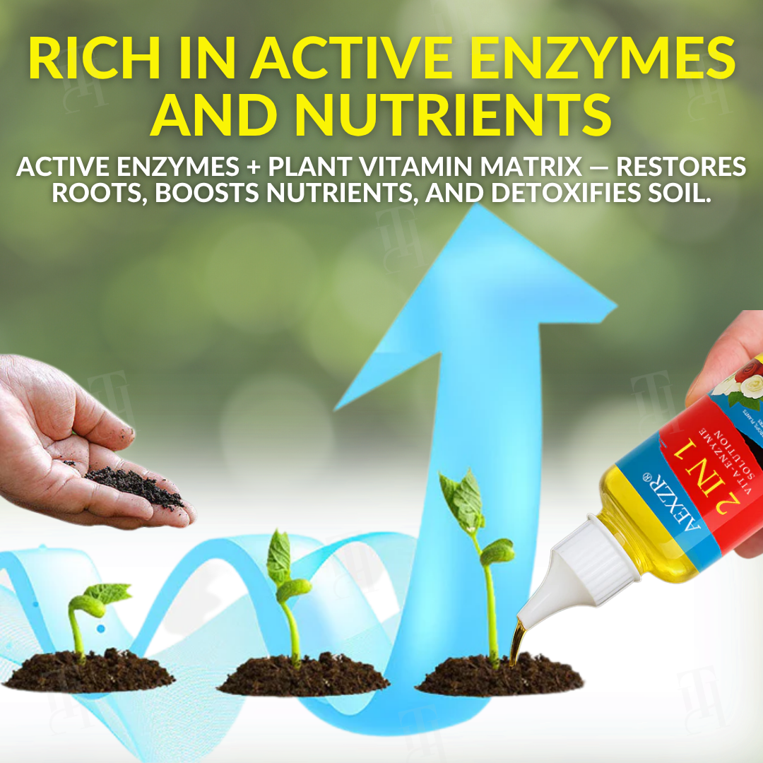 ⭐ AEXZR® 2 in 1 Vita-Enzyme Solution