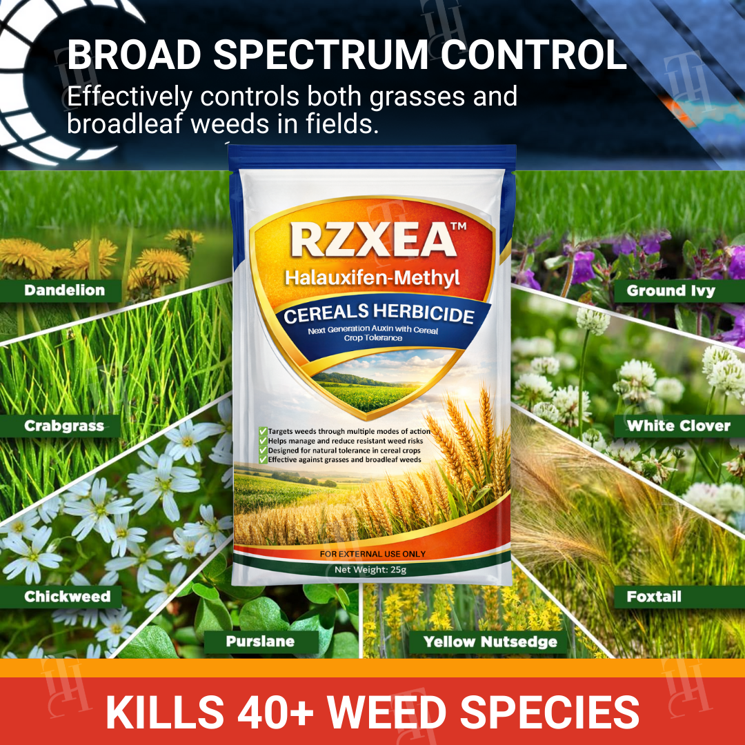 🌟 Official Store | RZXEA™ Halauxifen-methyl Cereals Herbicide