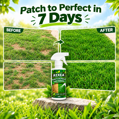 🏆 New Upgrade | RZXEA™ Ready-to-Use Natural Lawn Solution