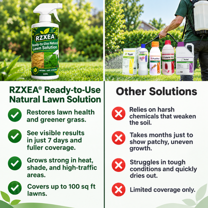 🏆 New Upgrade | RZXEA™ Ready-to-Use Natural Lawn Solution