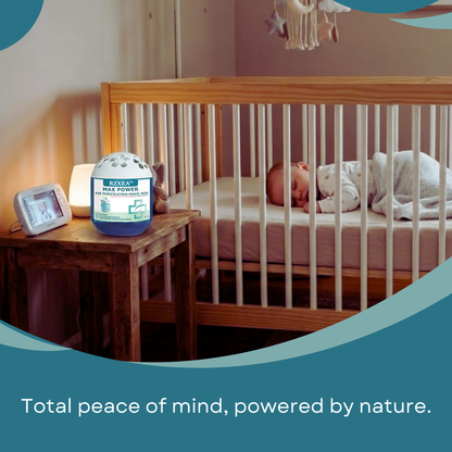 Zero Effort, Zero Electricity | RZXEA™ Max Power Air Purification Magic Box