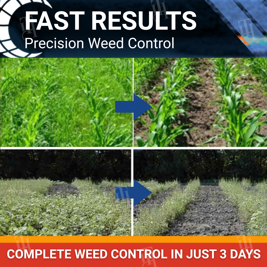 🌟 Official Store | RZXEA™ Halauxifen-methyl Cereals Herbicide