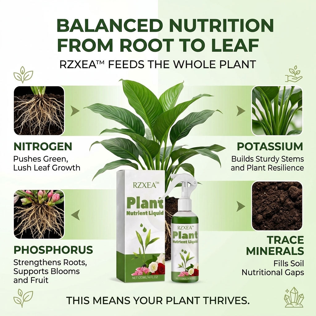 🏆 New Upgrade | RZXEA™ Ready-to-Use Plant Nutrient Solution