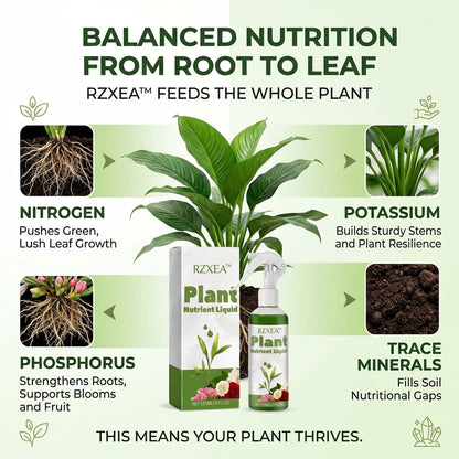 🏆 New Upgrade | RZXEA™ Ready-to-Use Plant Nutrient Solution