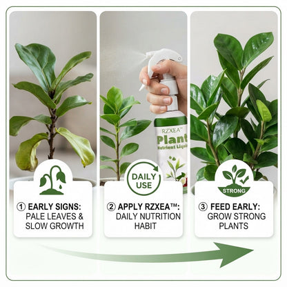 🏆 New Upgrade | RZXEA™ Ready-to-Use Plant Nutrient Solution