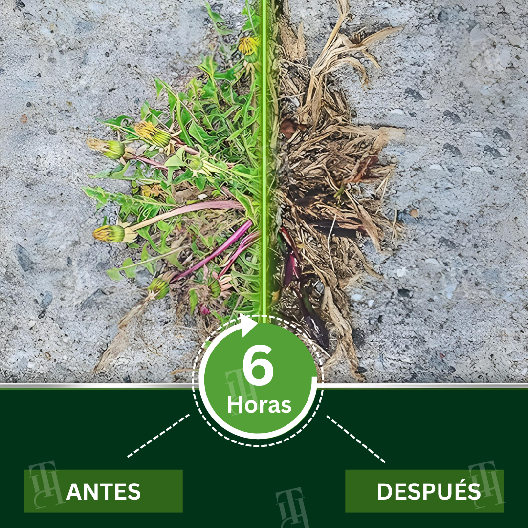 🌟 Tienda oficial |AEXZR® 2 en 1 Herbicida de Máxima Potencia